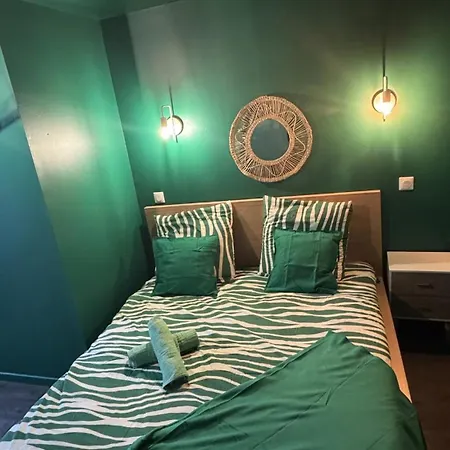 Le Duplex Tricolore 2 Hyper Centre Rive Droite Apartamento Ruan